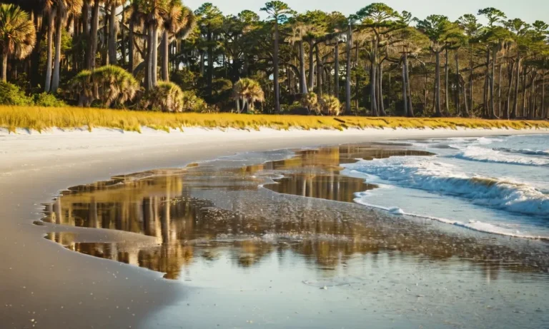 Uncovering The Reasons Behind Jekyll Island’S Brown Water