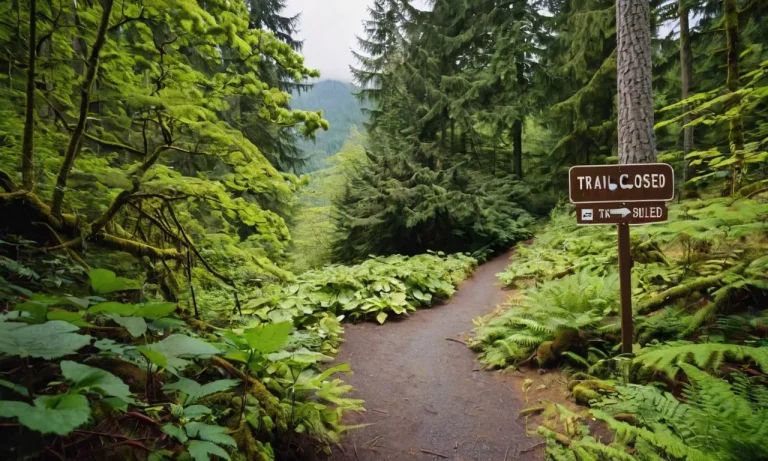 Why Is The Rattlesnake Ledge Trail Closed?